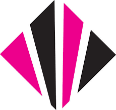 Conwy Surveyors Network 